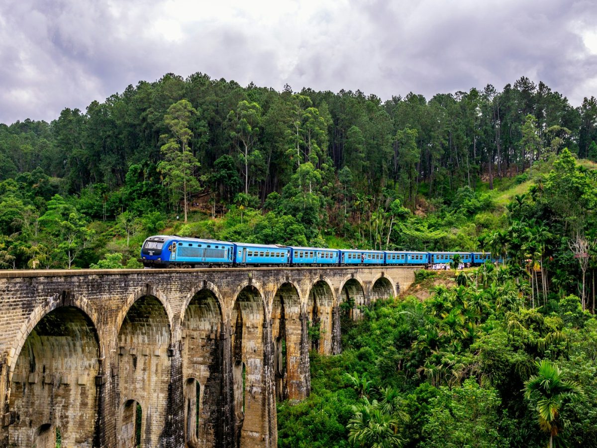 Circuit – Sri Lanka : Ceylan Bonheur